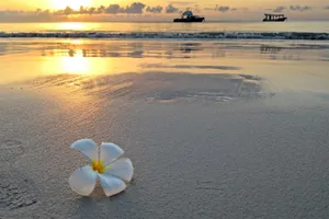 Sejur charter Diani Beach, Kenya, 9 zile - decembrie 2021