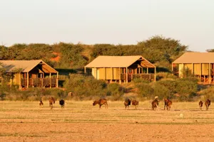Suricate Kalahari Tented Lodge 4*