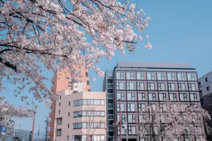 The Royal Park Campus Kyoto Nijo 4*