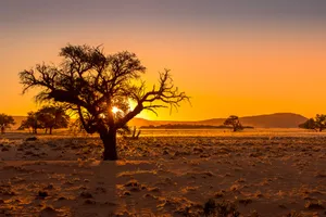 Bushman's Desert Camp Lodge