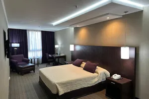 Howard Johnson Plaza by Wyndham Buenos Aires Florida Street 4*