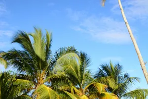 VOI Kiwengwa Resort 4*