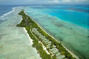 Canareef Resort Maldive 4*
