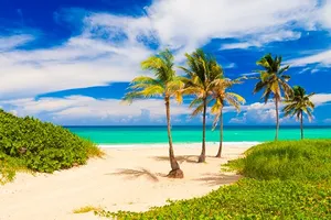 Melia Cayo Coco 4*