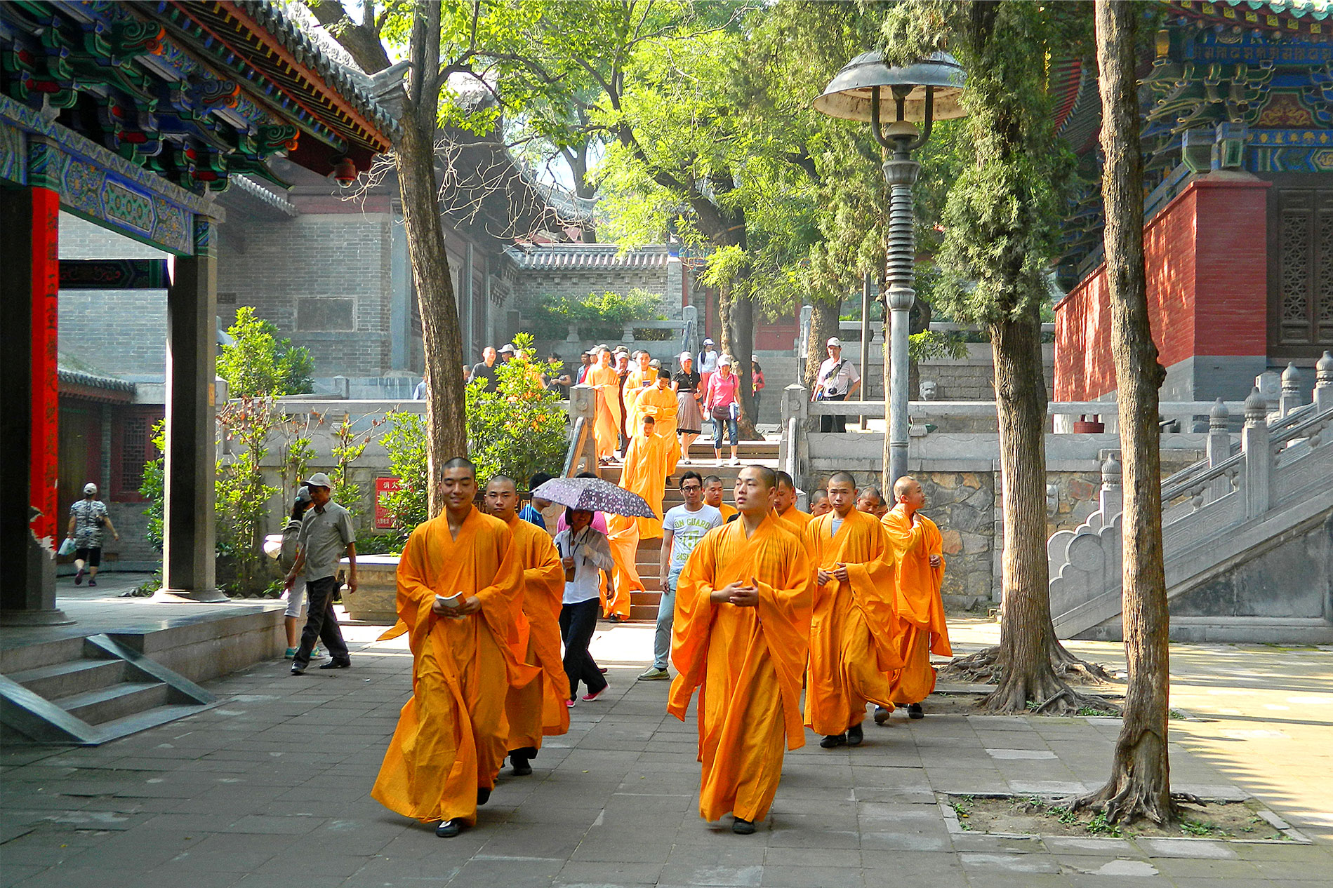 Vizita Templul Shaolin