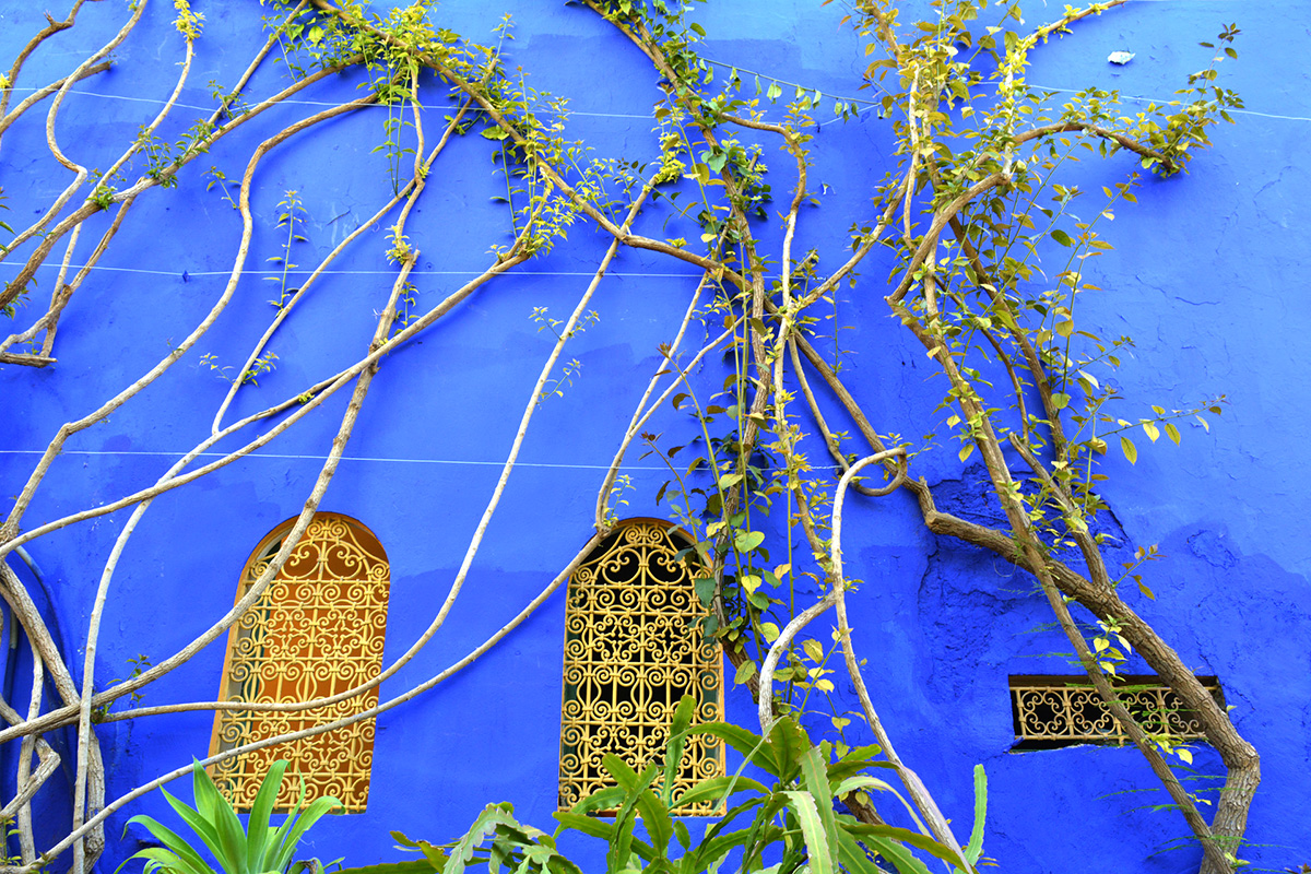 Vizita Gradinile Majorelle
