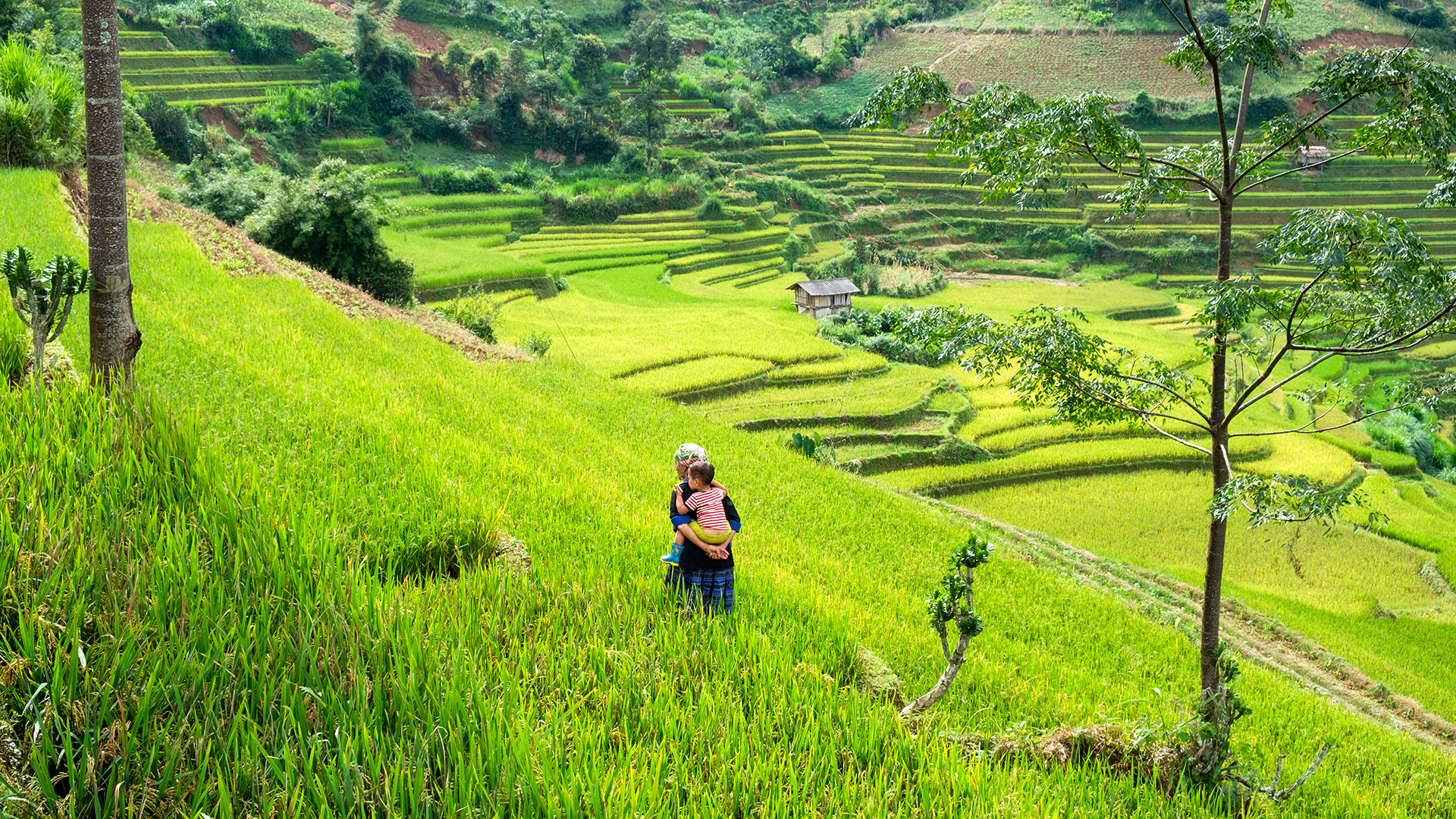 Trekking Sapa - Ta Phin