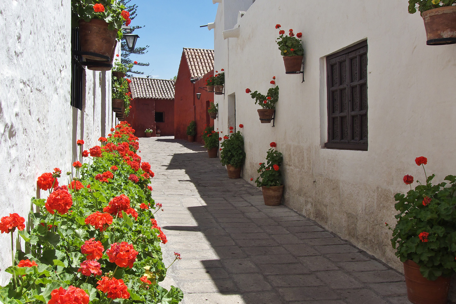 Vizita Manastirea Santa Catalina