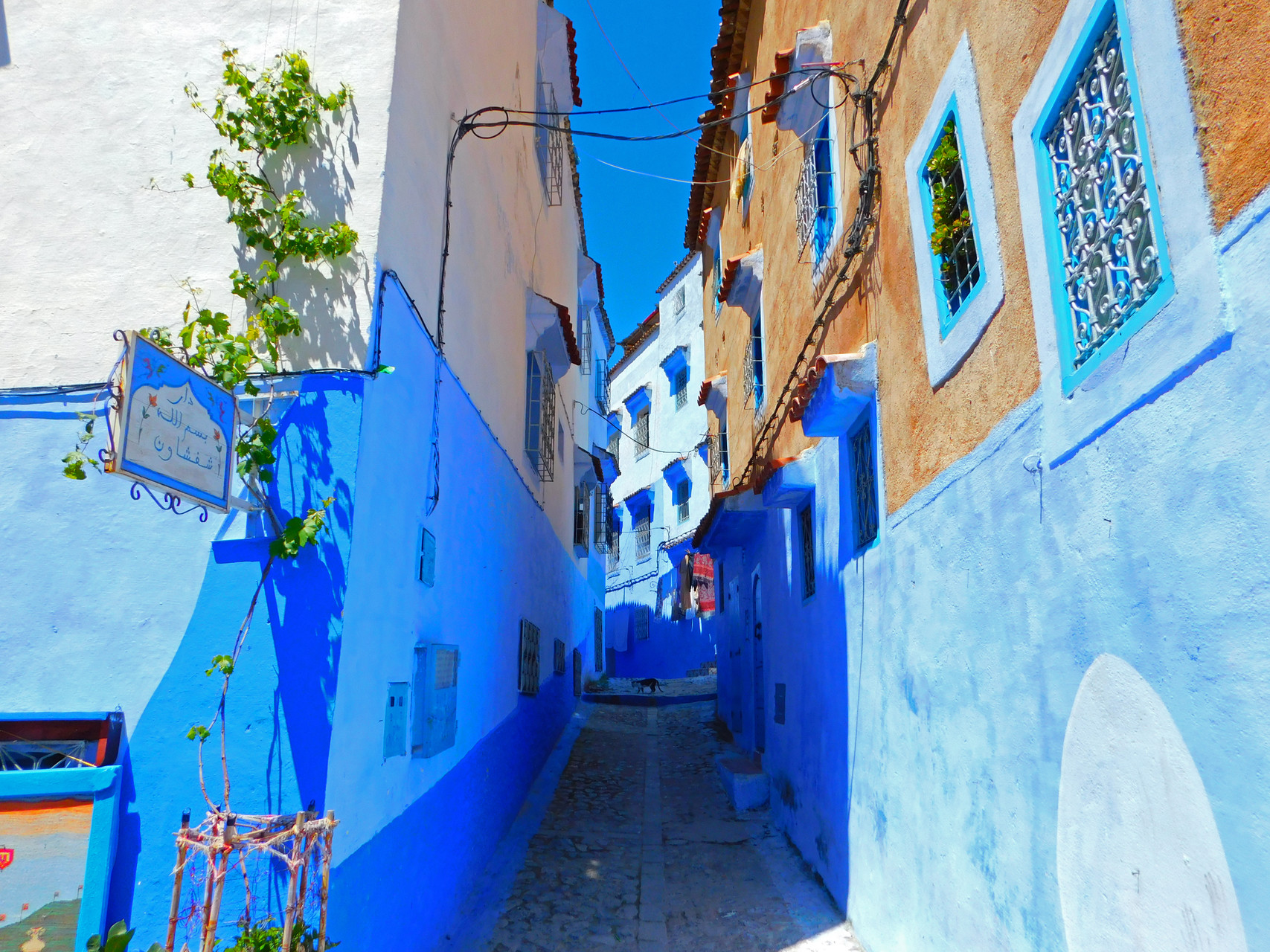 Tur privat de grup Chefchaouen