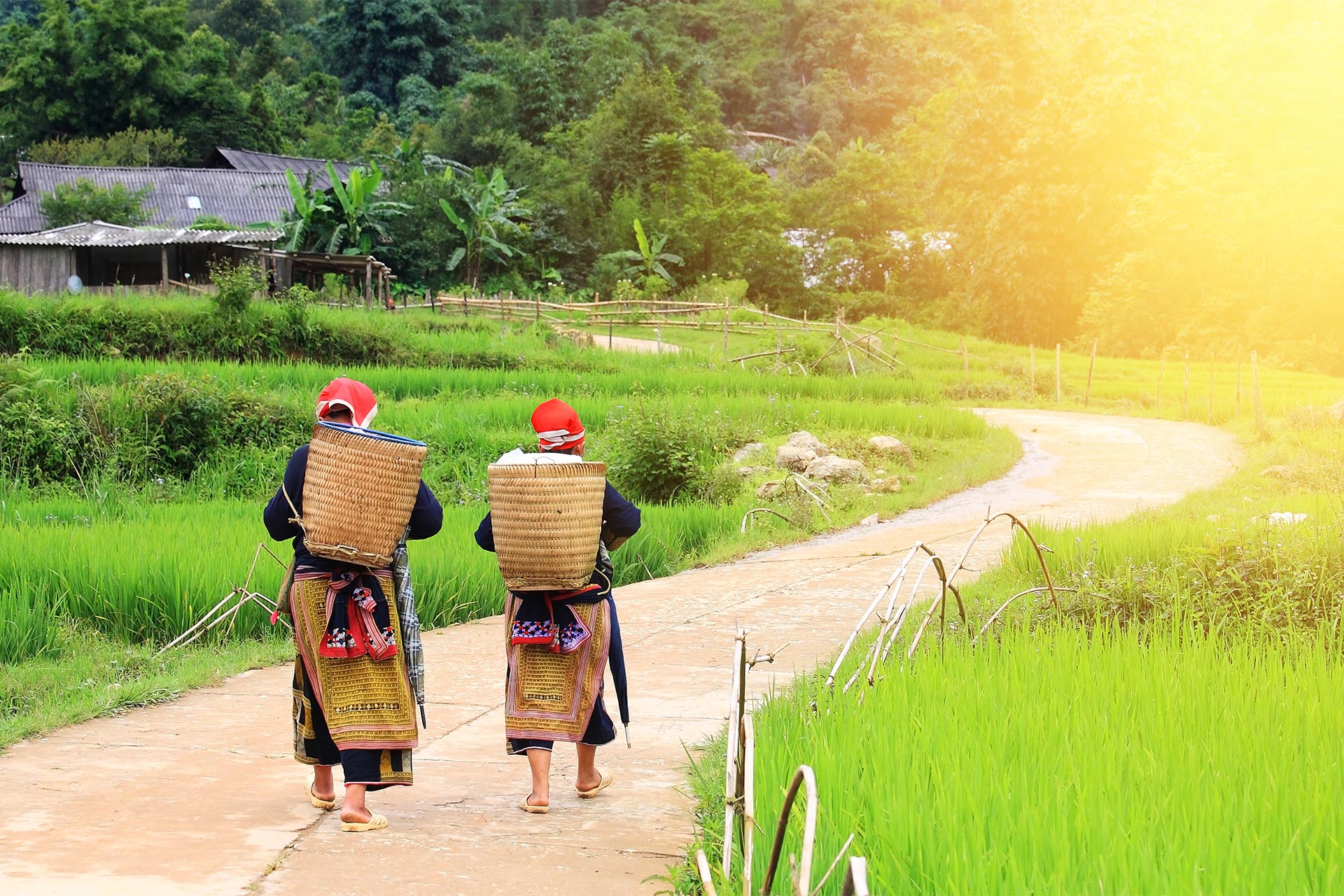 Trekking Cat Cat & Y Linh Ho