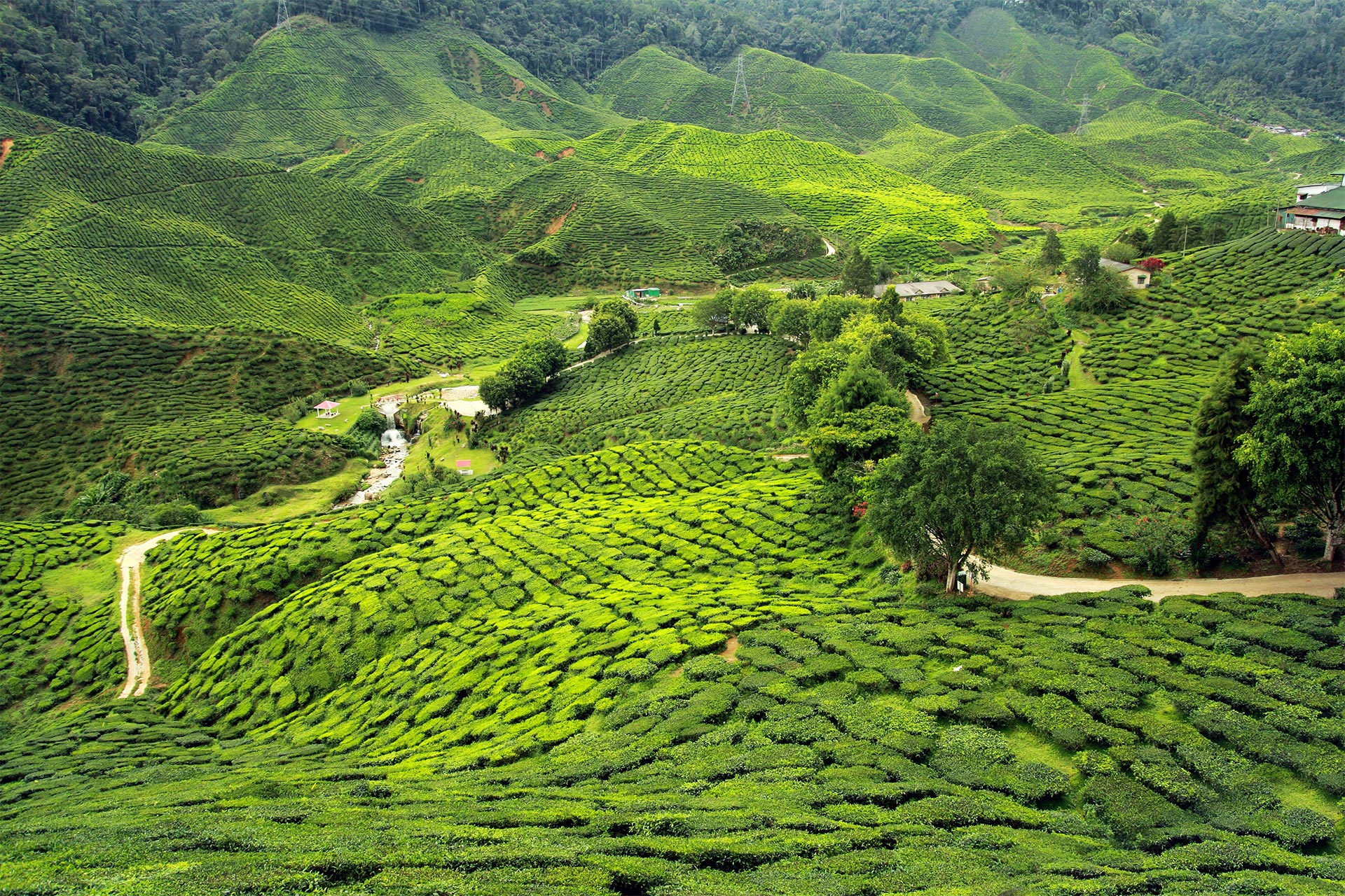 Highlights Nepal, Bhutan & Eastern India