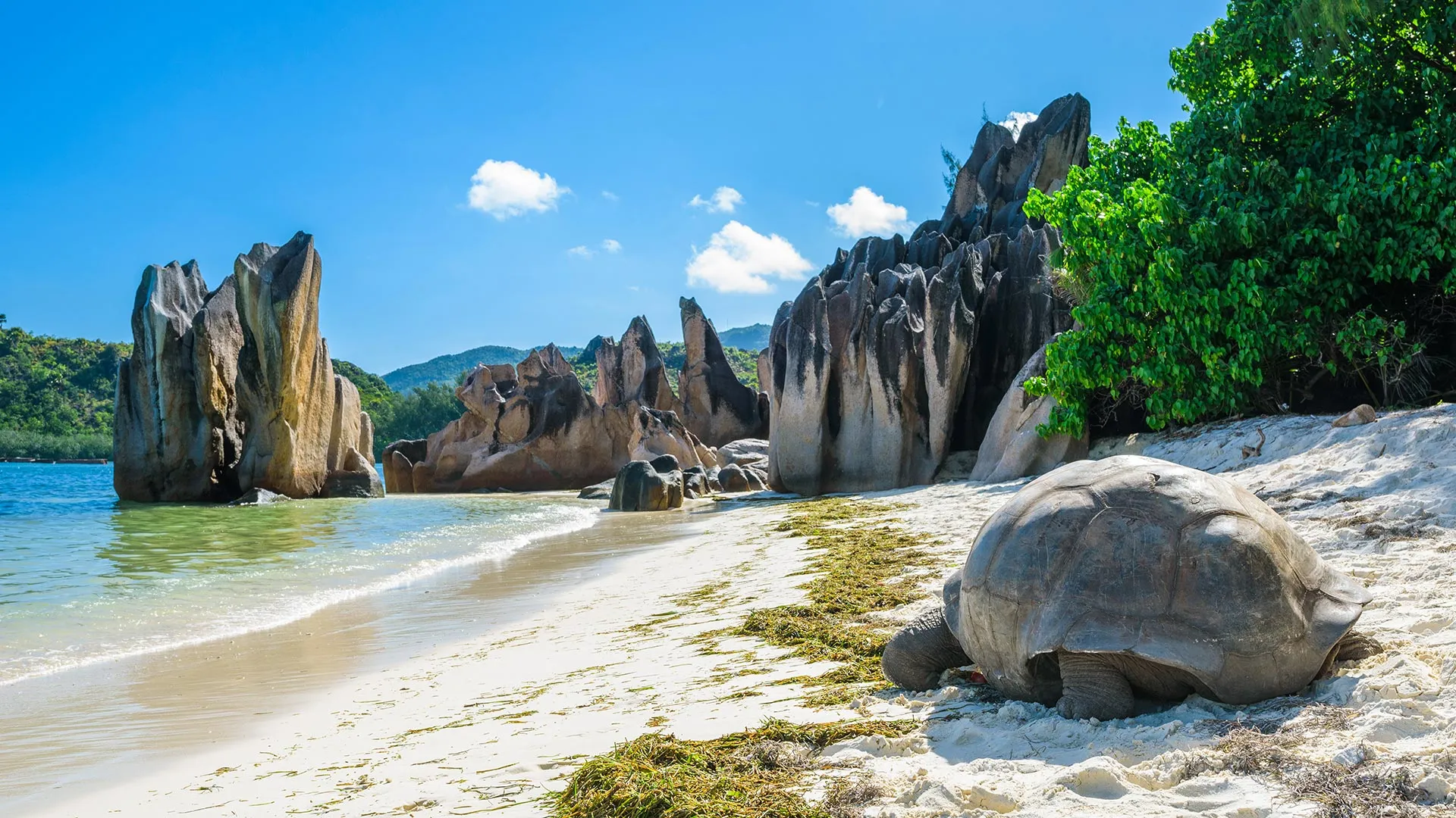 Sejur exotic La Digue Island, Seychelles - ianuarie 2026