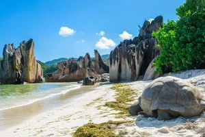 Seychelles