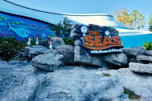 Family experience in Orlando & Miami