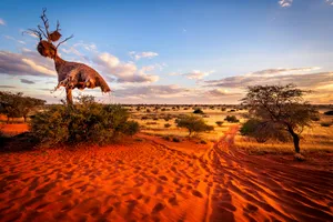 Circuit de grup - Experience Namibia, 14 zile - februarie 2027