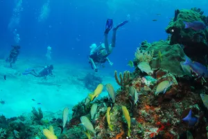 Sejur exotic Cozumel, Mexic - ianuarie 2026