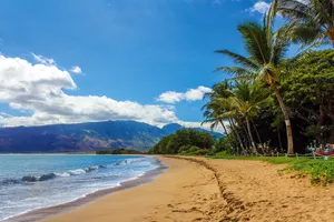 Discover Hawaii