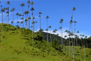 Discover Ecuador, Galapagos & Columbia, 17 zile