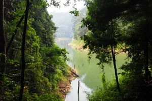 Best National Parks of Malaysia