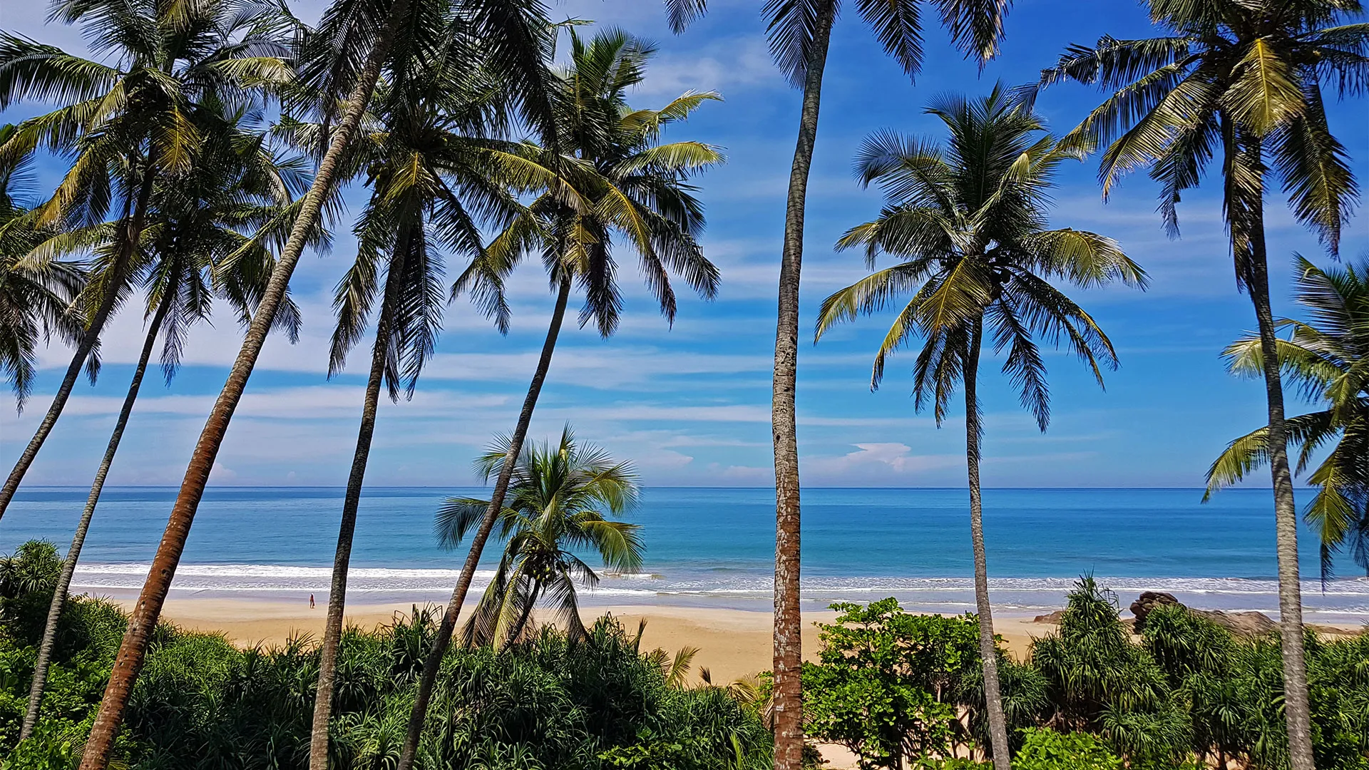 Sejur exotic Bentota, Sri Lanka - iulie 2026