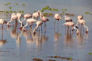 Circuit de grup - Discover Tanzania & Zanzibar, 12 zile - 26 noiembrie 2026