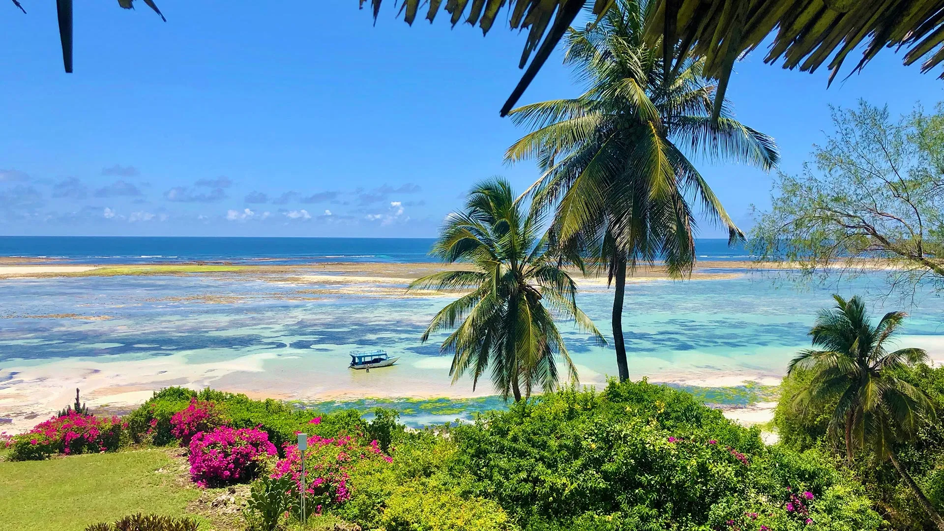 Sejur exotic Diani Beach, Kenya - martie 2026
