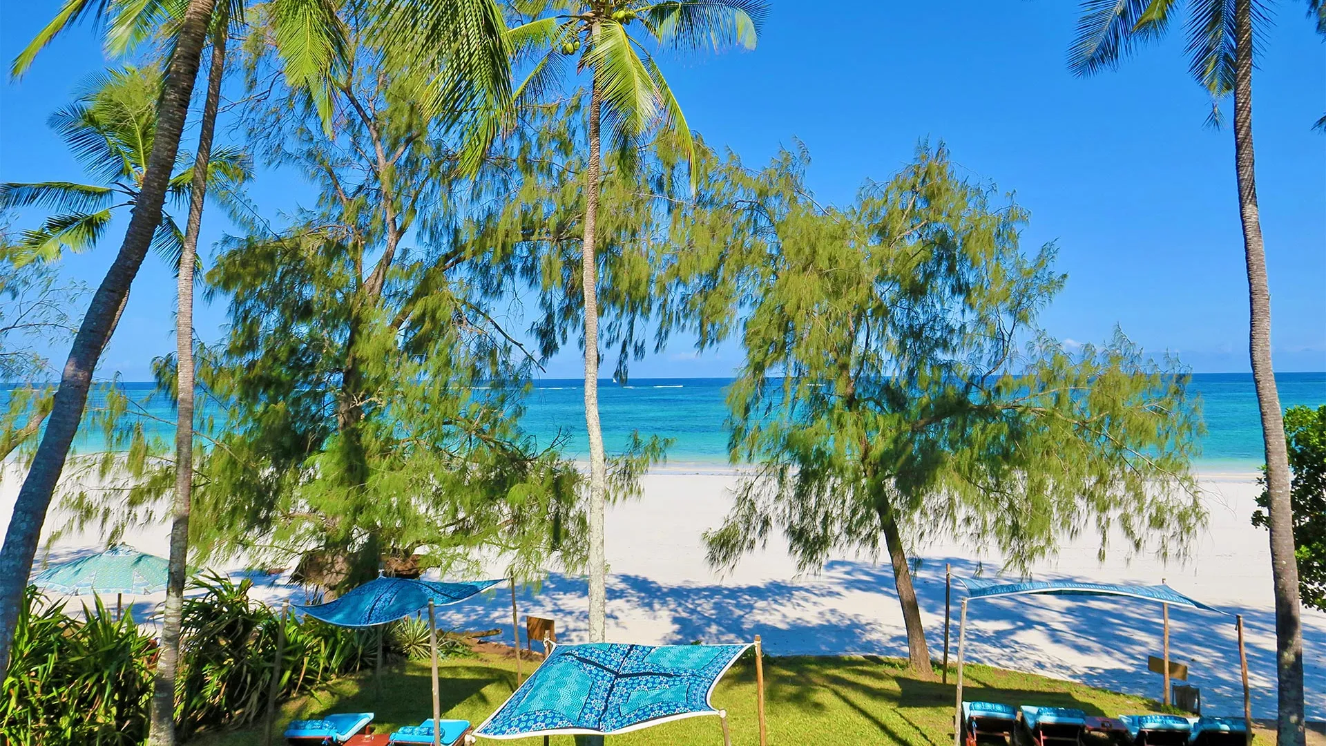 Sejur exotic Diani Beach, Kenya - decembrie 2025