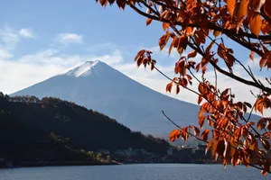 Circuit de grup - Coreea de Sud & Japonia, 15 zile - octombrie 2026