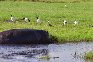 Botswana