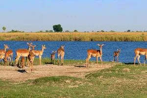 Botswana