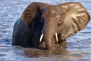 Botswana
