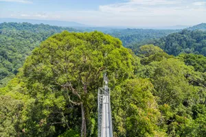 Brunei