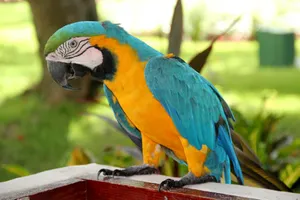 Sejur exotic Republica Dominicana, 9 zile – 25 octombrie 2026