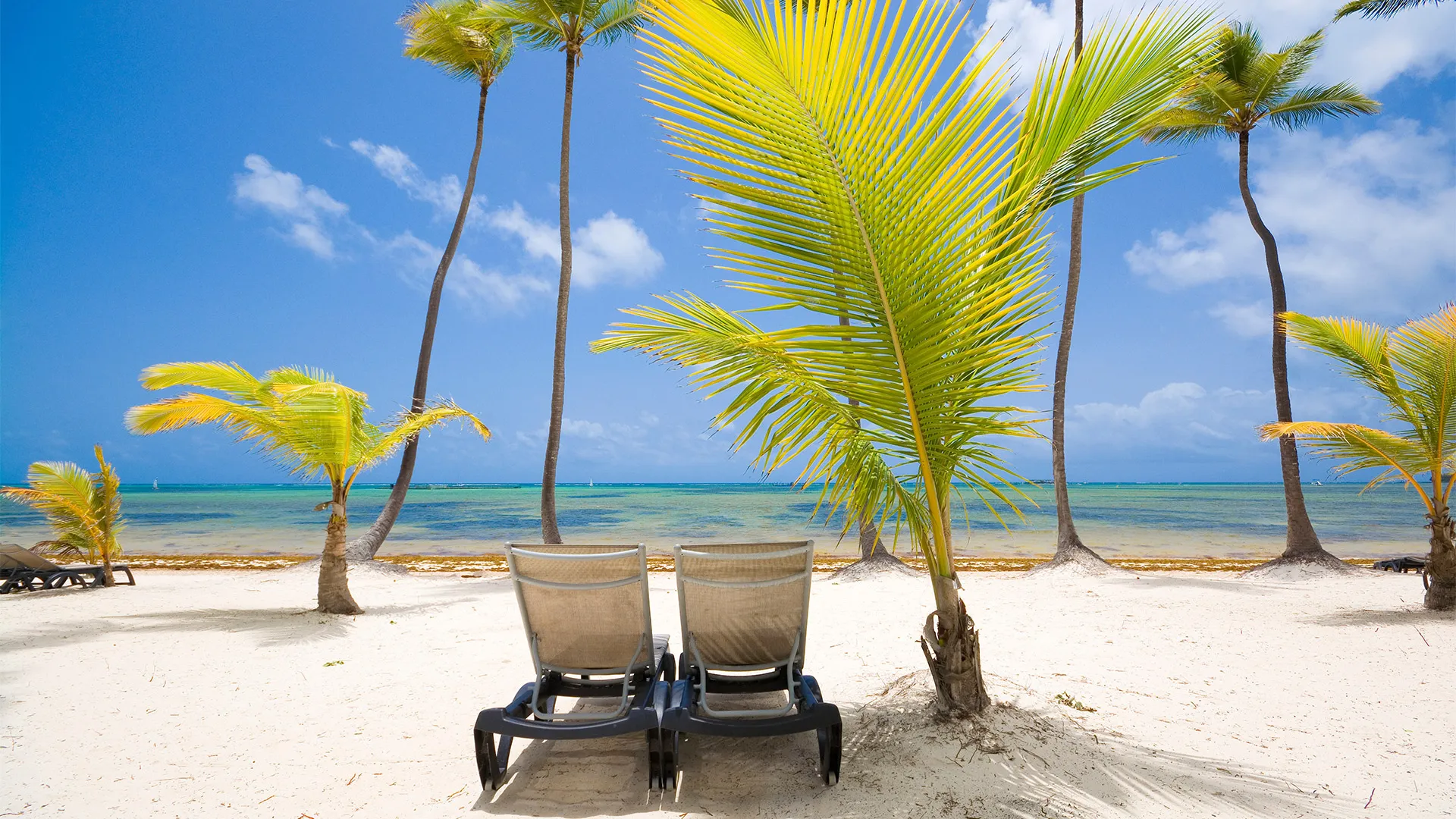 Sejur exotic Punta Cana, Republica Dominicana - ianuarie 2026