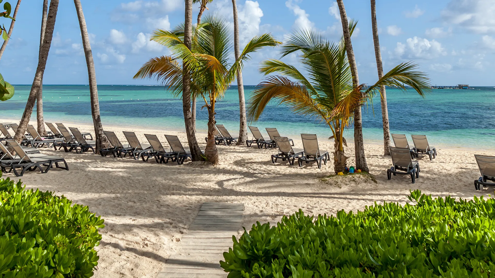 Sejur exotic Punta Cana, Republica Dominicana - martie 2026