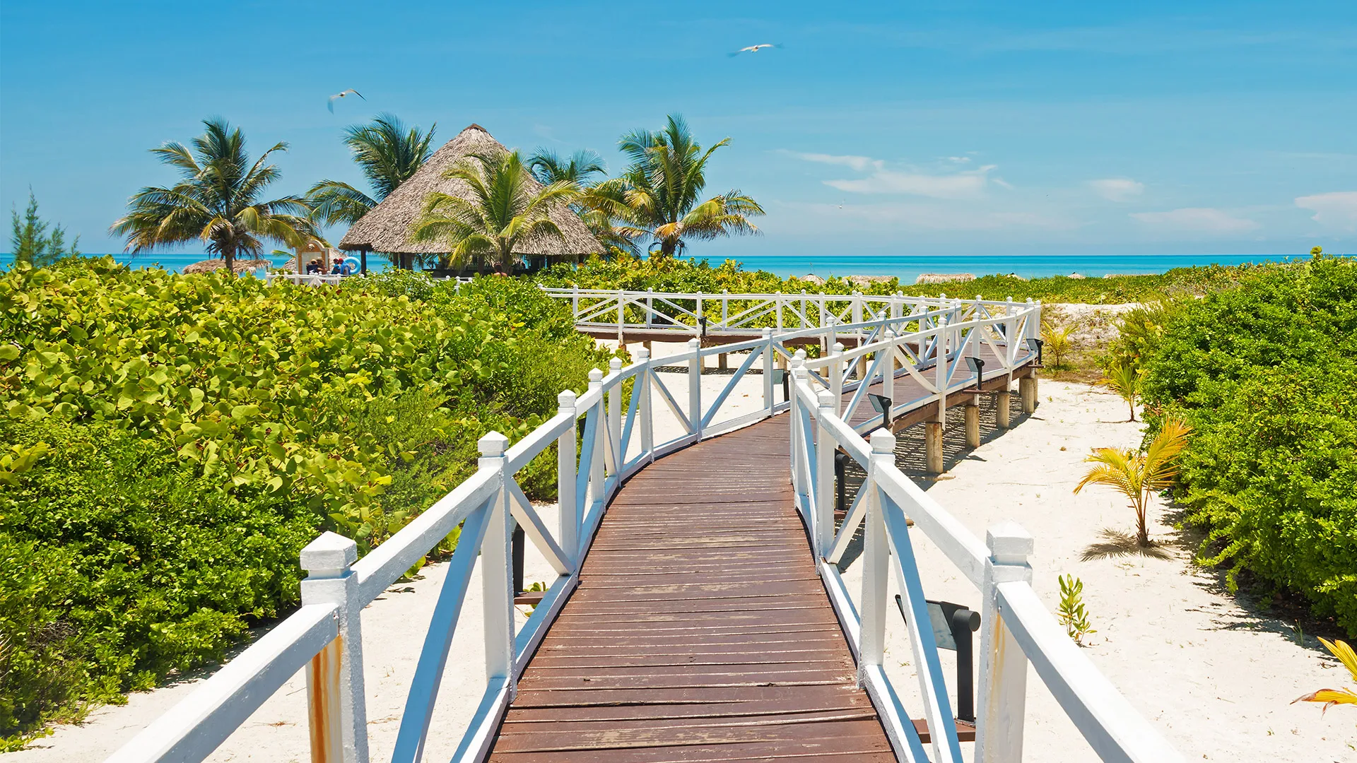 Sejur exotic Varadero, Cuba - iunie 2026