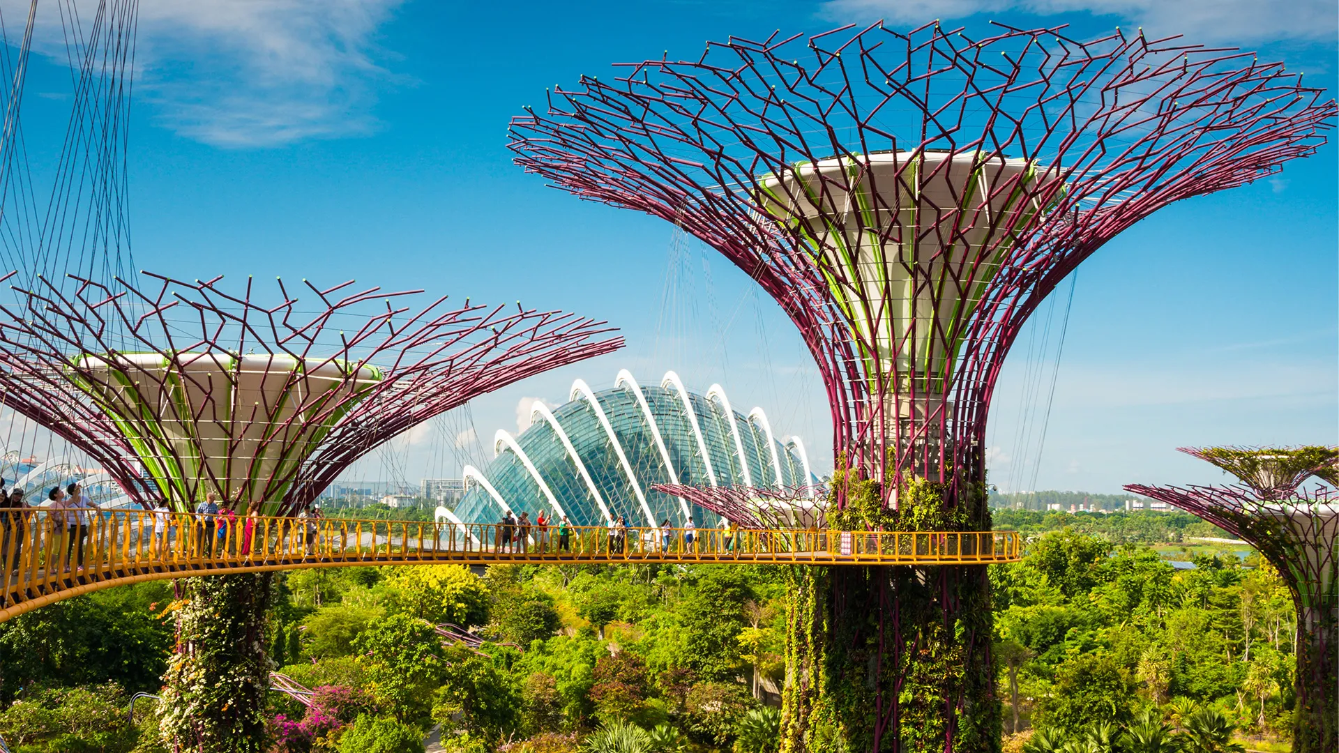Sejur exotic Singapore - decembrie 2025