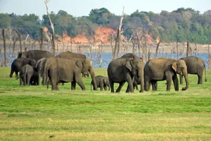 Highlights Sri Lanka