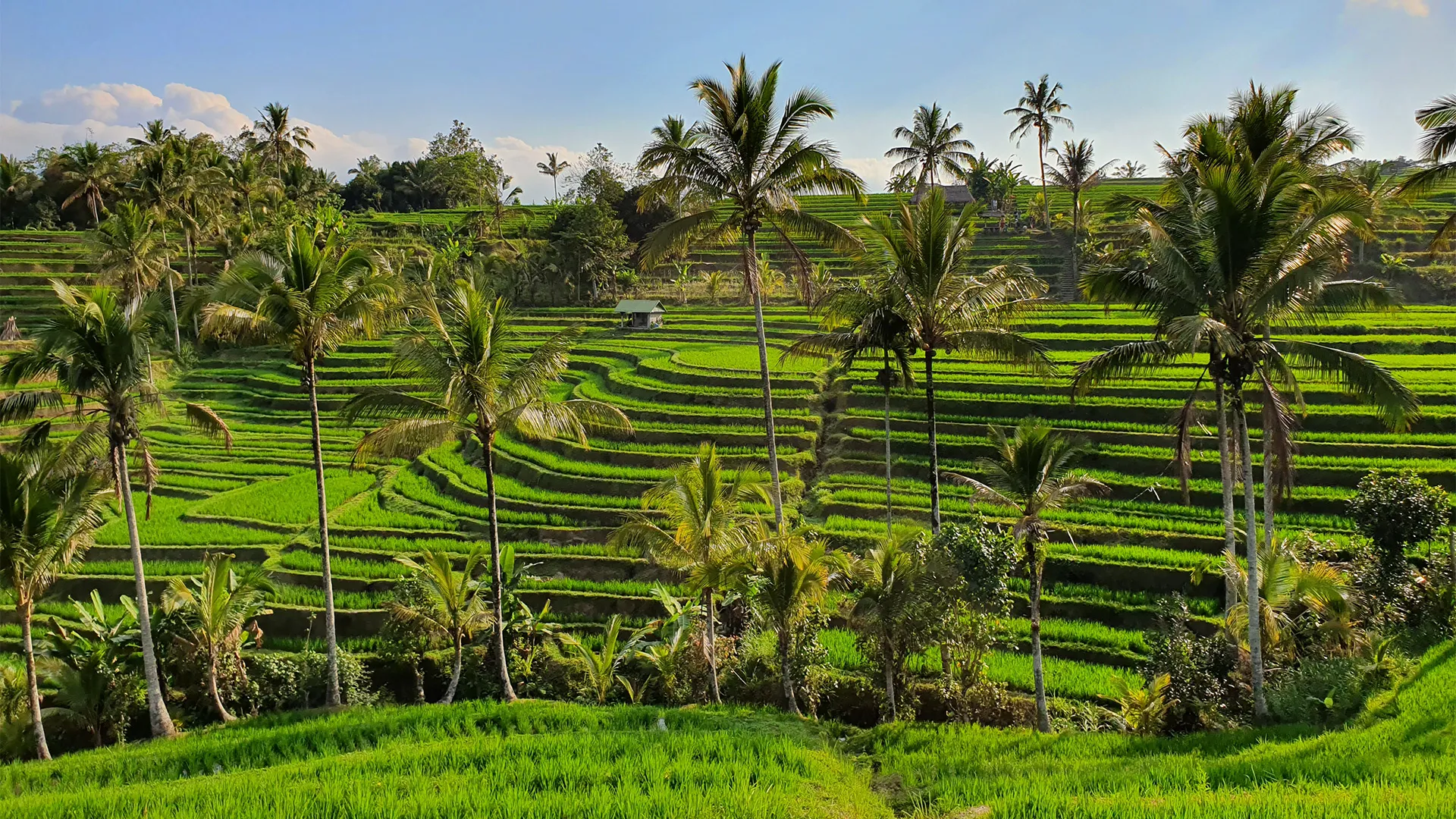 Sejur exotic Bali, Indonezia - iunie 2026