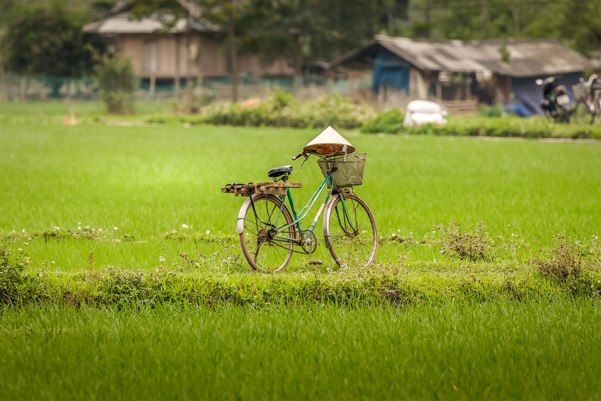 Vietnam - Off the Beaten Track
