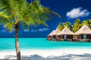 Best of Noua Zeelanda & Fiji