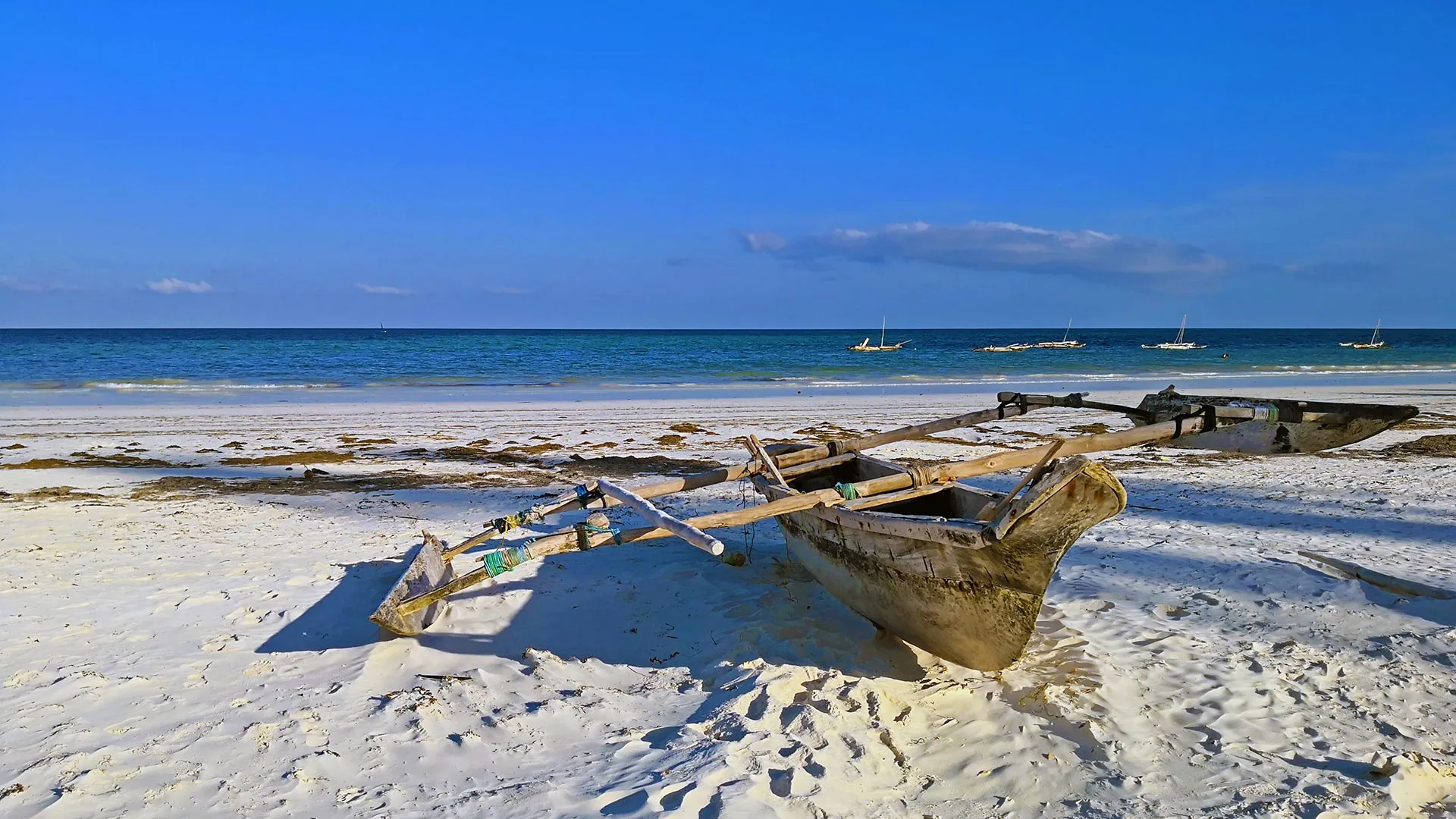 Sejur exotic Mombasa, Kenya - aprilie 2026