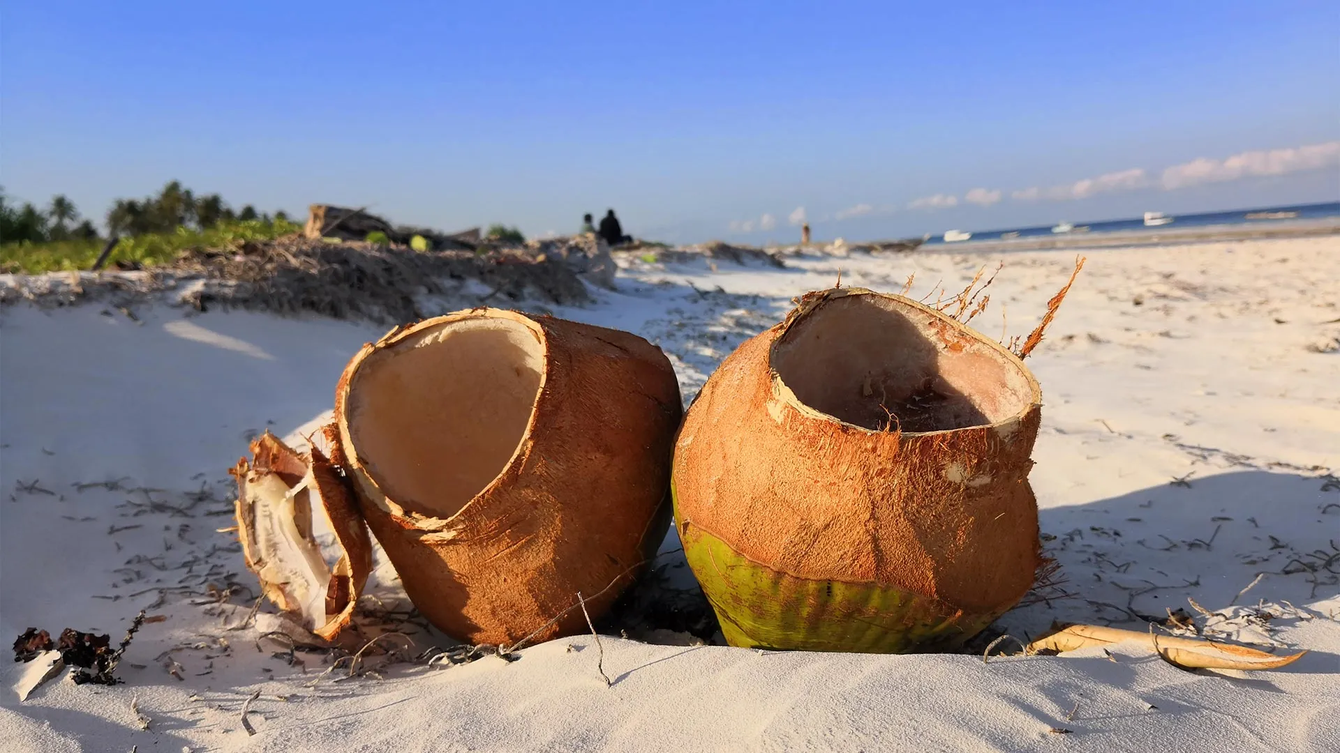 Sejur exotic Mombasa, Kenya - martie 2026