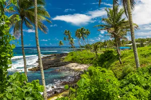 Insula Samoa