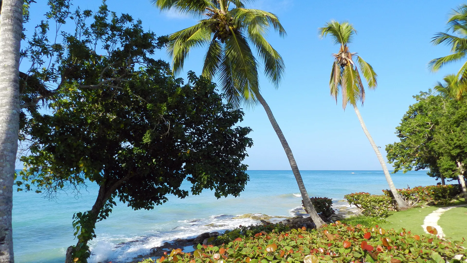 Sejur exotic La Romana, Republica Dominicana - ianuarie 2026