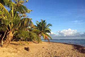 Sejur exotic Samana, Republica Dominicana - martie 2026