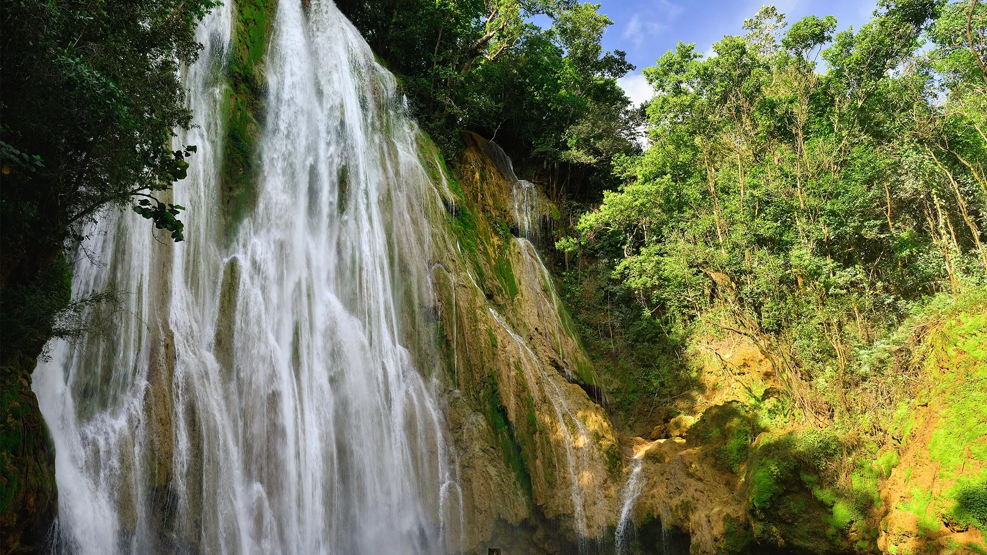 Sejur exotic Samana, Republica Dominicana - aprilie 2026