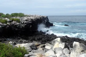 Essential Galapagos