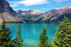 Discover Canada Vest