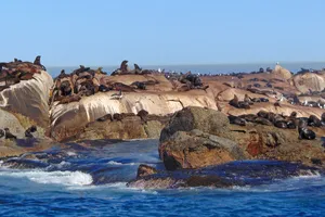 Share a Trip - Circuit Africa de Sud, Cape Town & Winelands - 10 zile, noiembrie 2026